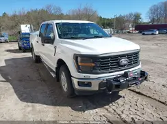1FTFW1L8XRKE36534 2024 FORD F-150