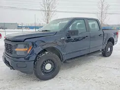 1FTFW1P81RKD52516 2024 FORD F-150