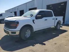 1FTFW1P81RKE35587 2024 FORD F-150