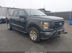 1FTFW1P84PKD48926 2023 FORD F-150