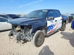 1FTFW1P84RKD47830 2024 FORD F-150