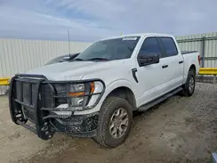 1FTFW1P86PKD03793 2023 FORD F-150