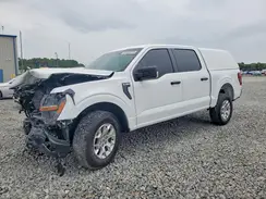 1FTFW1P87RKE69212 2024 FORD F-150