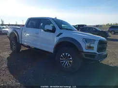 1FTFW1RG0KFD15430 2019 FORD F-150