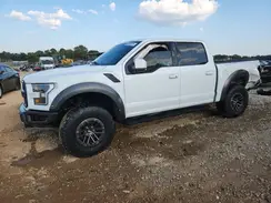 1FTFW1RG0LFC02594 2020 FORD F-150