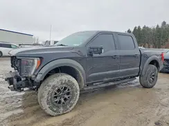 1FTFW1RG0MFC23785 2021 FORD F-150