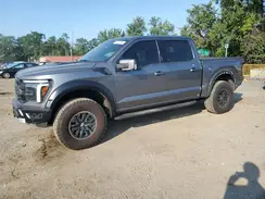 1FTFW1RG0RFA42709 2024 FORD F-150