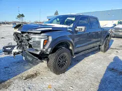 1FTFW1RG0RFA55234 2024 FORD F-150