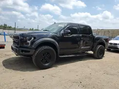 1FTFW1RG1KFA43020 2019 FORD F-150