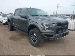 1FTFW1RG1KFB68373 2019 FORD F-150