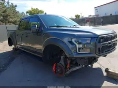 1FTFW1RG1KFB81981 2019 FORD F-150