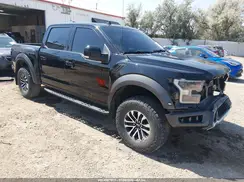 1FTFW1RG1KFC80493 2019 FORD F-150