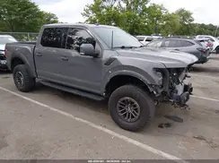 1FTFW1RG1LFA71501 2020 FORD F-150