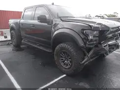 1FTFW1RG1LFB09034 2020 FORD F-150