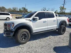 1FTFW1RG1PFA47110 2023 FORD F-150