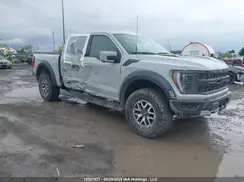 1FTFW1RG1PFD14035 2023 FORD F-150