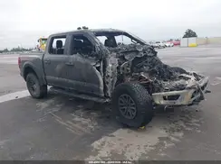 1FTFW1RG1RFA23439 2024 FORD F-150