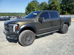 1FTFW1RG1RFC10650 2024 FORD F-150
