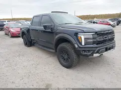 1FTFW1RG1SFB87313 2025 FORD F-150