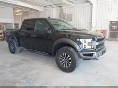 1FTFW1RG2KFA43933 2019 FORD F-150
