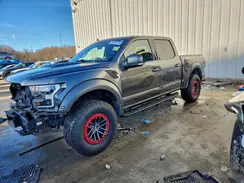1FTFW1RG2KFC00117 2019 FORD F-150