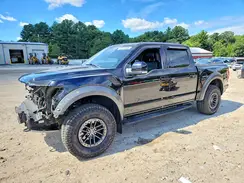 1FTFW1RG2KFC63721 2019 FORD F-150