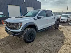 1FTFW1RG2NFC05631 2022 FORD F-150