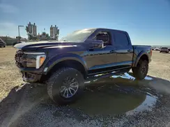 1FTFW1RG2RFA73265 2024 FORD F-150