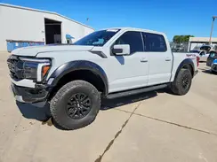 1FTFW1RG2RFB35831 2024 FORD F-150