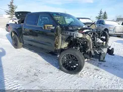 1FTFW1RG2RFB52922 2024 FORD F-150