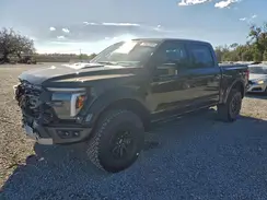 1FTFW1RG2RFB69008 2024 FORD F-150