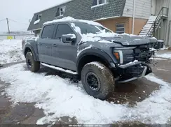 1FTFW1RG2RFC24623 2024 FORD F-150