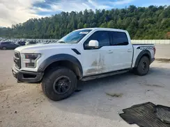 1FTFW1RG3HFB76533 2017 FORD F-150
