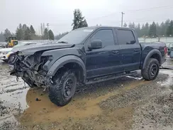 1FTFW1RG3HFC60156 2017 FORD F-150