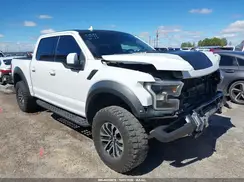 1FTFW1RG3KFA14215 2019 FORD F-150