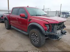 1FTFW1RG3KFB45824 2019 FORD F-150
