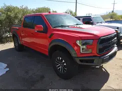 1FTFW1RG3KFB46455 2019 FORD F-150