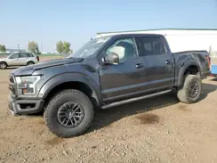 1FTFW1RG3KFD22002 2019 FORD F-150