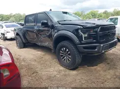 1FTFW1RG3LFA68986 2020 FORD F-150