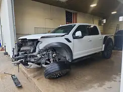 1FTFW1RG3LFB15515 2020 FORD F-150
