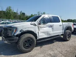 1FTFW1RG3PFA38201 2023 FORD F-150