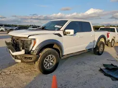 1FTFW1RG3PFB24348 2023 FORD F-150