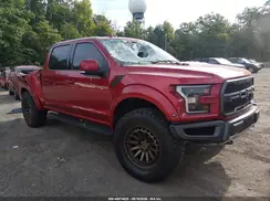 1FTFW1RG4KFC89186 2019 FORD F-150