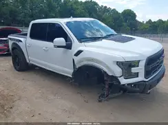 1FTFW1RG4KFD18220 2019 FORD F-150