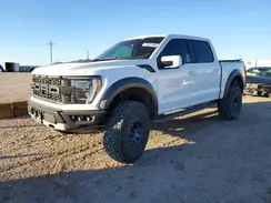 1FTFW1RG4PFD32481 2023 FORD F-150