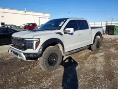 1FTFW1RG4RFA40798 2024 FORD F-150
