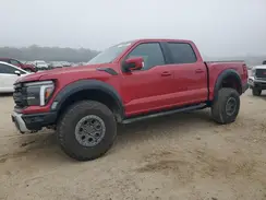1FTFW1RG4RFA47427 2024 FORD F-150