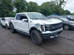 1FTFW1RG4RFC09668 2024 FORD F-150