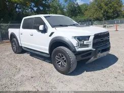 1FTFW1RG5HFB24238 2017 FORD F-150