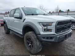 1FTFW1RG5HFB75254 2017 FORD F-150